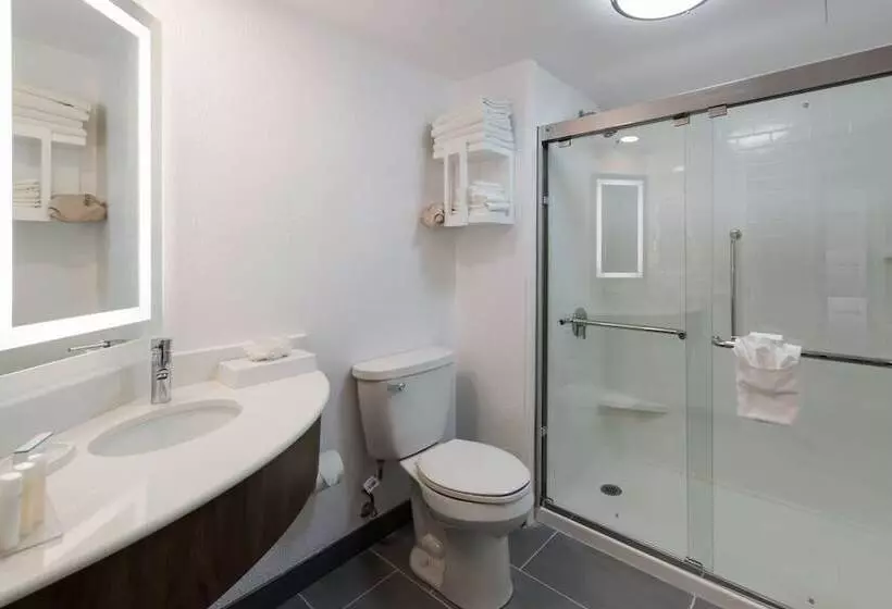 スイート, Hampton Inn & Suites Chicago/hoffman Estates