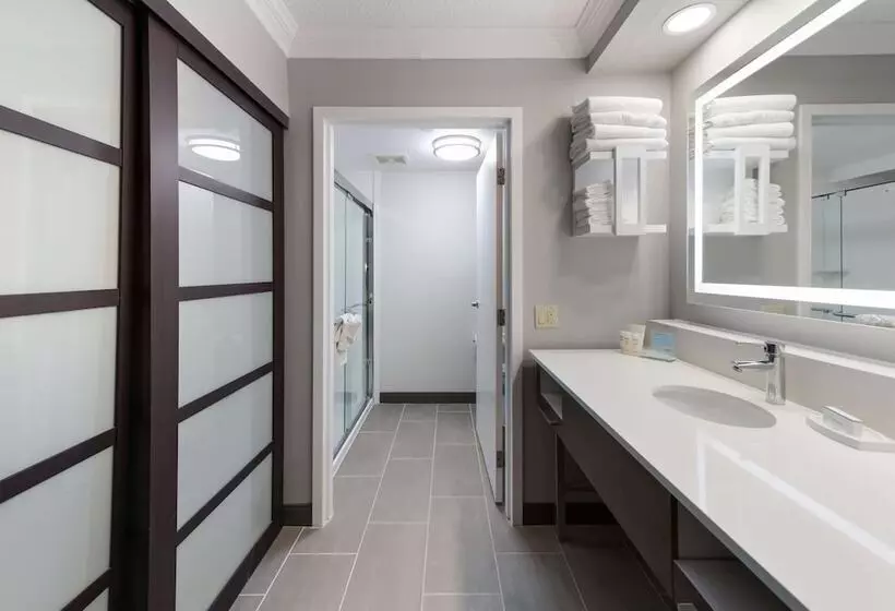 スイート, Hampton Inn & Suites Chicago/hoffman Estates