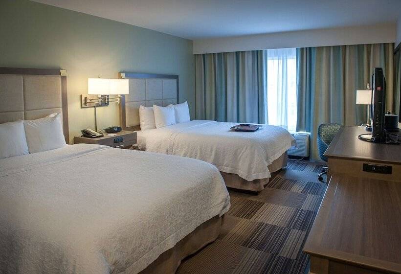 اتاق استاندارد, Hampton Inn & Suites New Orleans Elmwood/clearview Pkway, La