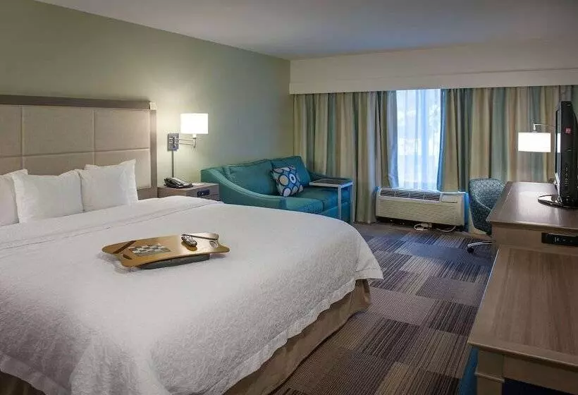 اتاق استاندارد با تخت بزرگ, Hampton Inn & Suites New Orleans Elmwood/clearview Pkway, La