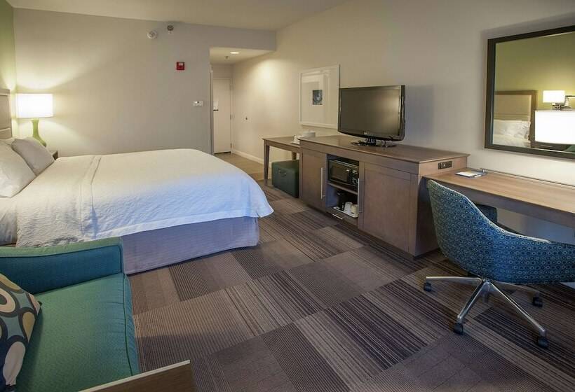 اتاق استاندارد با تخت بزرگ, Hampton Inn & Suites New Orleans Elmwood/clearview Pkway, La