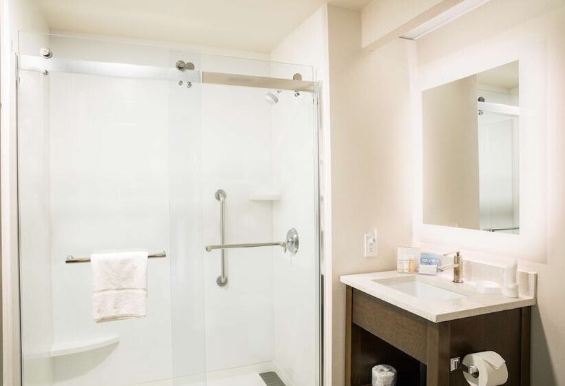2 Yatak Odalı Süit, Hampton Inn & Suites Seattledowntown