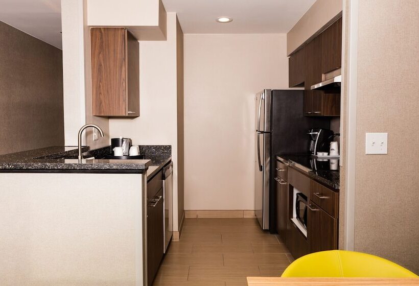 침실 2개 스위트, Hampton Inn & Suites Seattledowntown