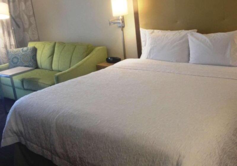 إستوديو قياسى سرير كينج, Hampton Inn Tampa/rocky Pointairport