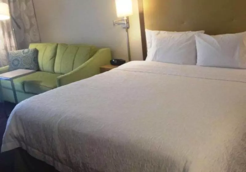 キングサイドベッドのスタンダードワンルーム, Hampton Inn Tampa/rocky Pointairport