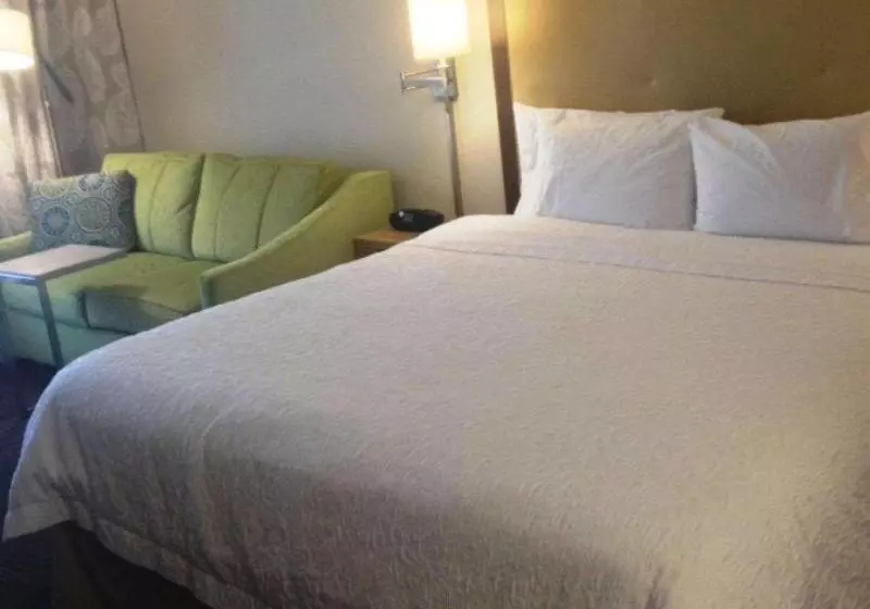 キングサイドベッドのスタンダードワンルーム, Hampton Inn Tampa/rocky Pointairport