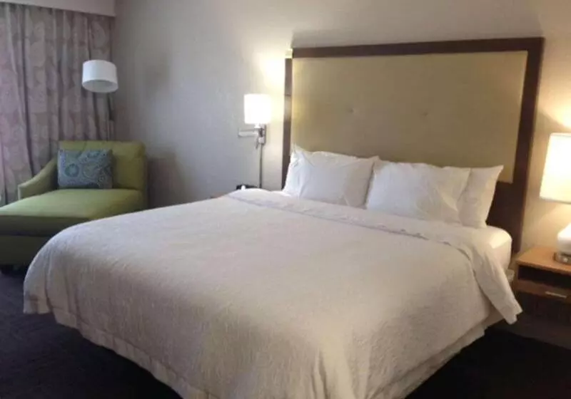 キングサイズベッドのスタンダードルーム, Hampton Inn Tampa/rocky Pointairport