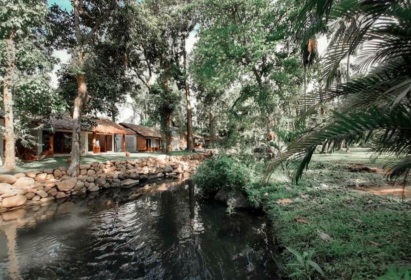 豪华房间, Murex Dive Resort