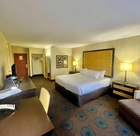 Номер Стандарт Кровать Кинг Адаптированный для Инвалидов, Brandywine Plaza