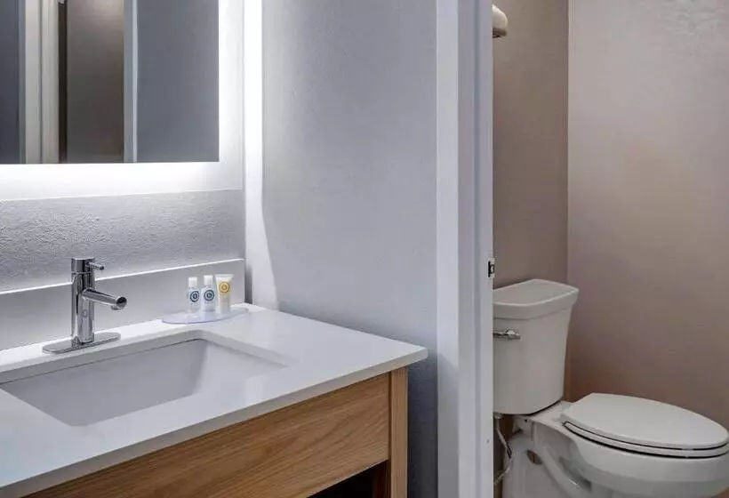 キングサイズベッドのスタンダードルーム, Comfort Inn Hyannis  Cape Cod