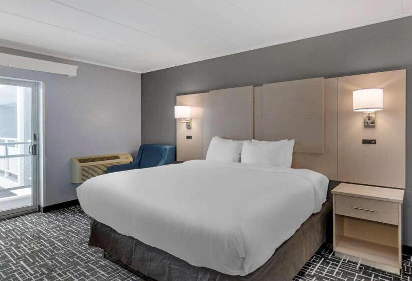 스탠다드 룸 킹사이즈 침대, Comfort Inn Hyannis  Cape Cod