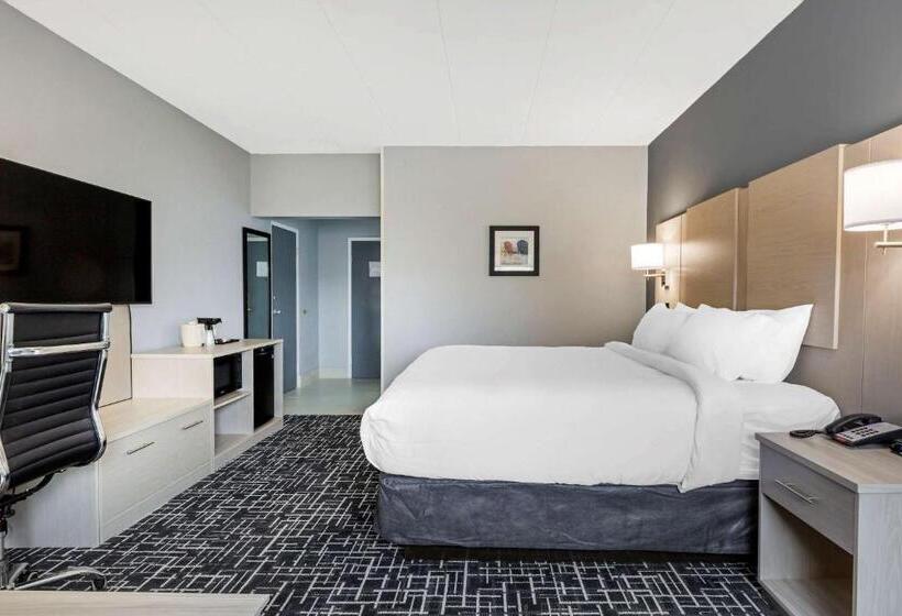 스탠다드 룸 킹사이즈 침대, Comfort Inn Hyannis  Cape Cod