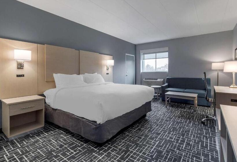 Номер Deluxe Кровать Кинг, Comfort Inn Hyannis  Cape Cod