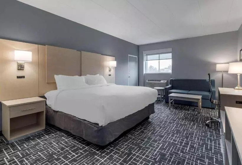 キングサイズベッドのデラックスルーム, Comfort Inn Hyannis  Cape Cod