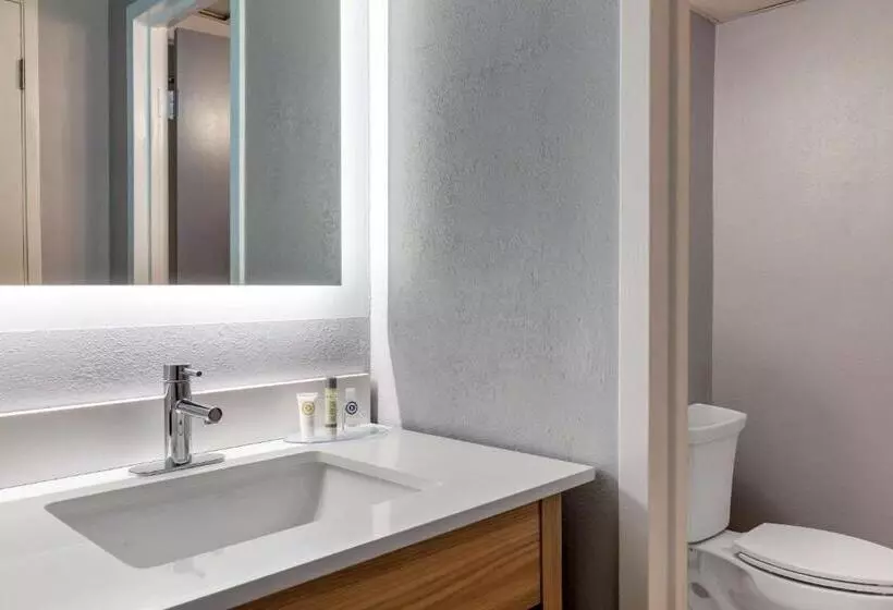 キングサイズベッドのデラックスルーム, Comfort Inn Hyannis  Cape Cod