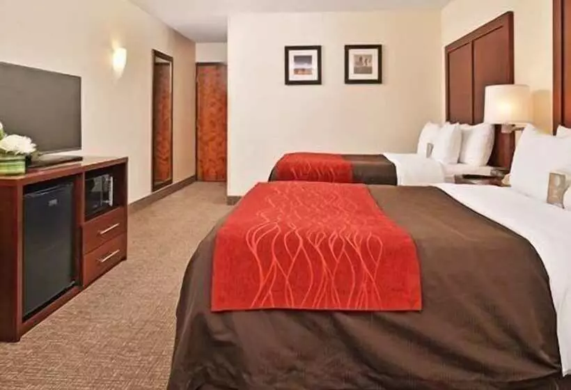２ダブルベッドのスタンダードルーム, Comfort Inn & Suites Denver Northfield