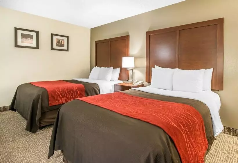 ２ダブルベッドのスタンダードルーム, Comfort Inn & Suites Denver Northfield