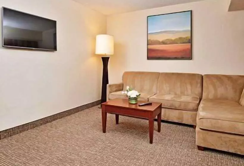 スイート, Comfort Inn & Suites Denver Northfield