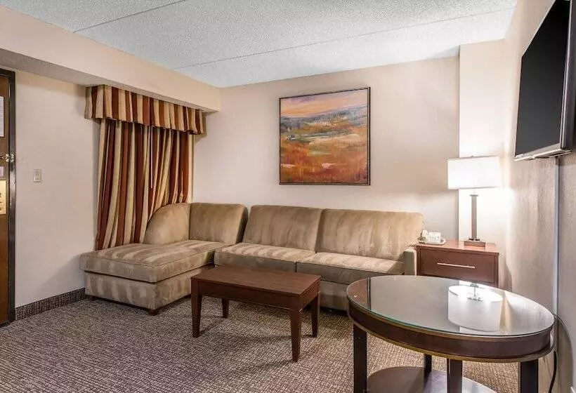 スイート, Comfort Inn & Suites Denver Northfield