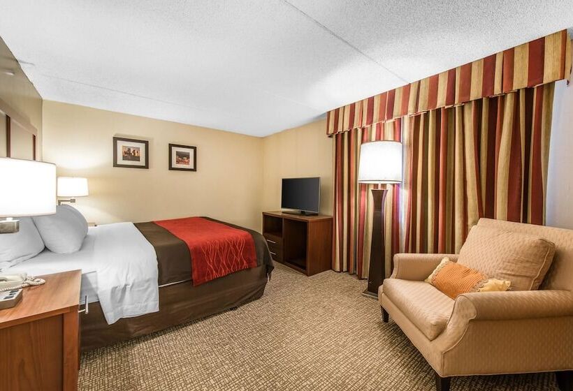 Люкс, Comfort Inn & Suites Denver Northfield