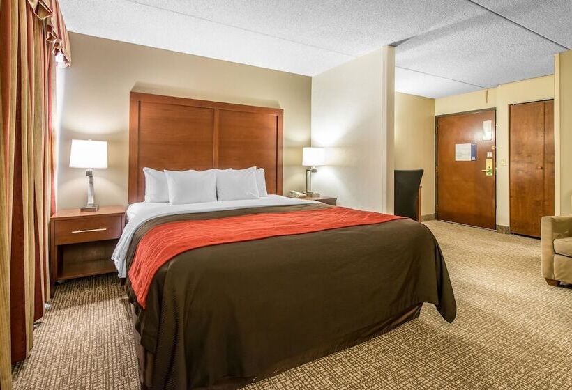 Люкс, Comfort Inn & Suites Denver Northfield