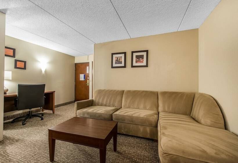 Люкс, Comfort Inn & Suites Denver Northfield