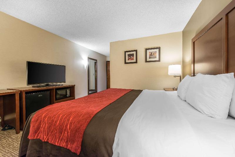 Стандартный Номер Кровать Кинг, Comfort Inn & Suites Denver Northfield