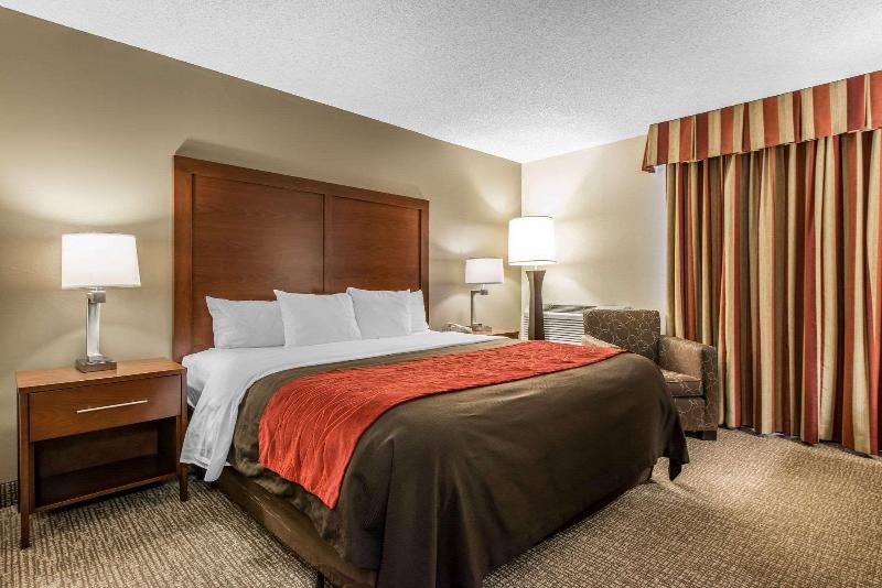 Стандартный Номер Кровать Кинг, Comfort Inn & Suites Denver Northfield