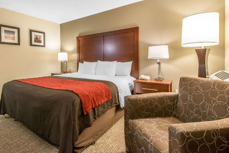 Стандартный Номер Кровать Кинг, Comfort Inn & Suites Denver Northfield