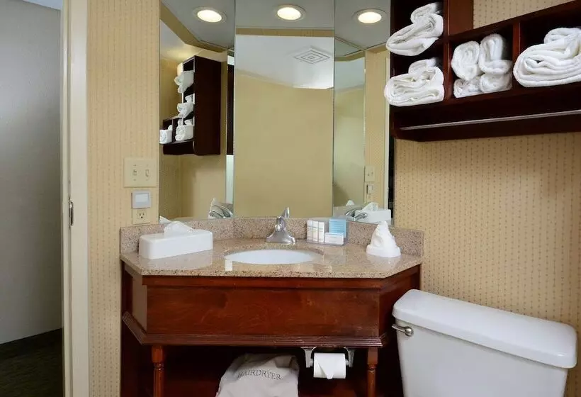 キングサイズベッドのスタンダードルーム, Hampton Inn Raleigh/town Of Wake Forest