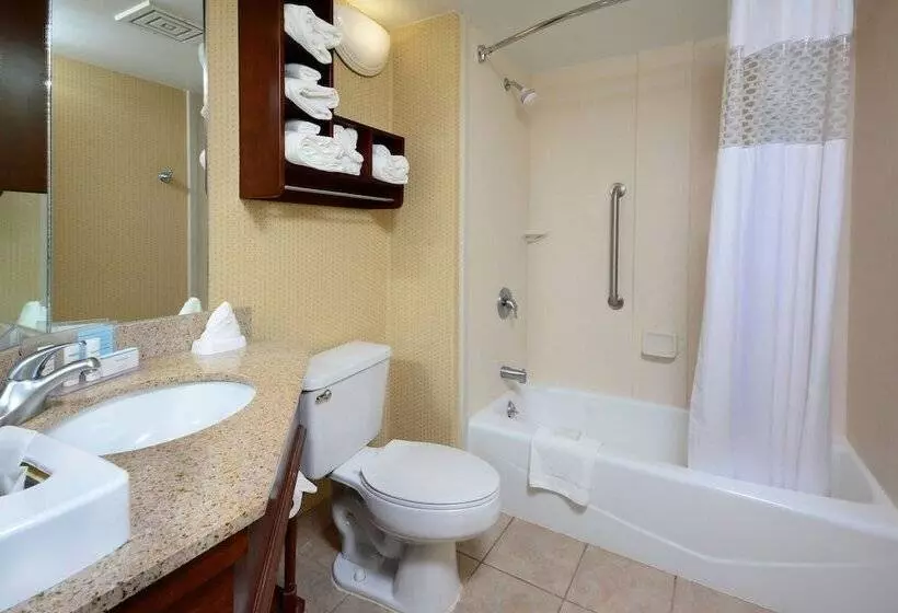 キングサイズベッドのスタンダードルーム, Hampton Inn Raleigh/town Of Wake Forest