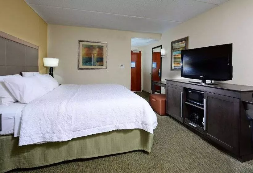 キングサイズベッドのスタンダードルーム, Hampton Inn Raleigh/town Of Wake Forest