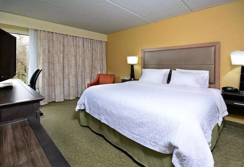 キングサイズベッドのスタンダードルーム, Hampton Inn Raleigh/town Of Wake Forest
