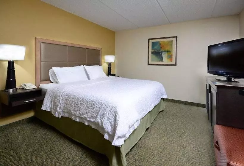 キングサイドベッドのスタンダードワンルーム, Hampton Inn Raleigh/town Of Wake Forest