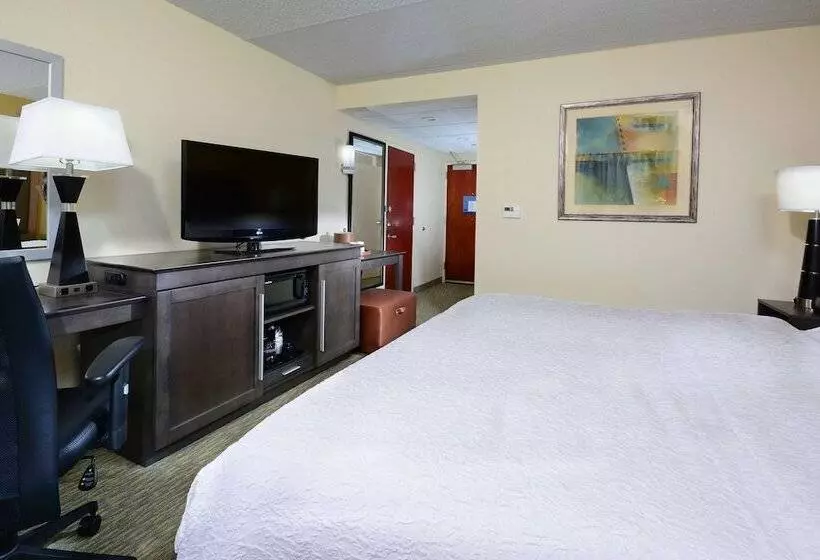 身障者適用キングサイズベッドルーム, Hampton Inn Raleigh/town Of Wake Forest
