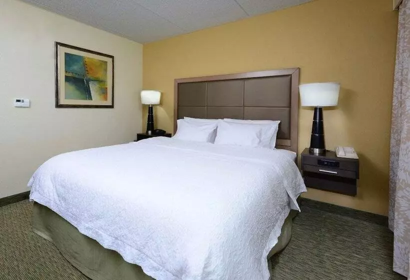 身障者適用キングサイズベッドルーム, Hampton Inn Raleigh/town Of Wake Forest