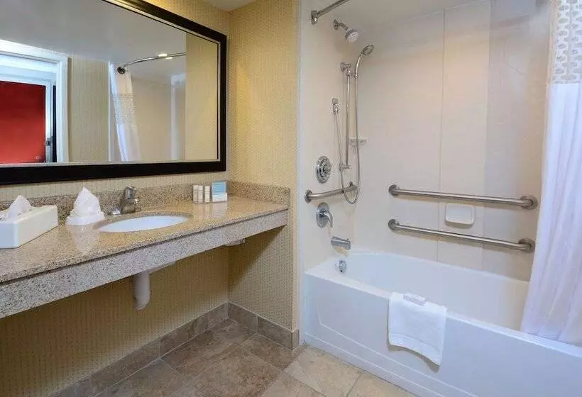 身障者適用キングサイズベッドルーム, Hampton Inn Raleigh/town Of Wake Forest