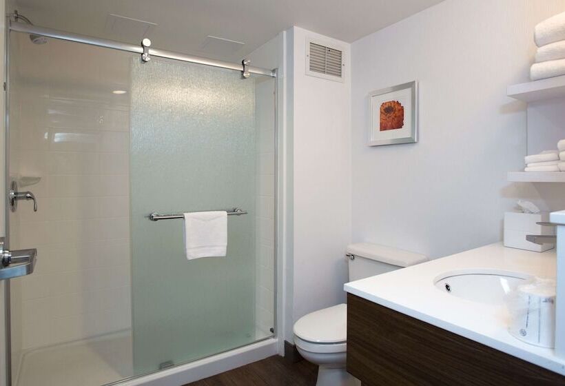 סוויטה, Hampton Inn Williamsportdowntown