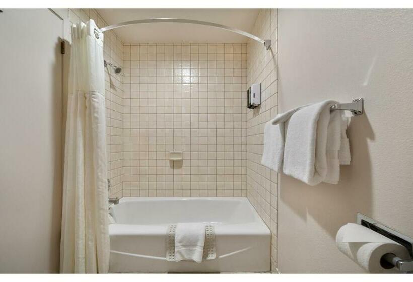 ビュー有りのスタンダードワンルーム, Harbor Lite Lodge