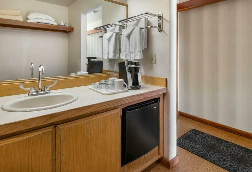 ビュー有りのスタンダードワンルーム, Harbor Lite Lodge