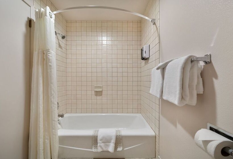 Студия Deluxe, Harbor Lite Lodge