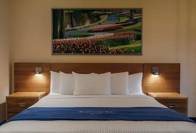 اتاق کلاسیک با تخت دوبل, Harborside Inn