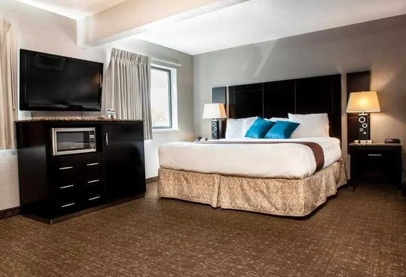 キングサイズベッドのスタンダードルーム, Heartland Inn Coralville
