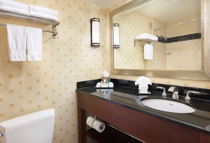 اتاق استاندارد با 2 تخت دوبل, Hilton Chicago O'Hare Airport