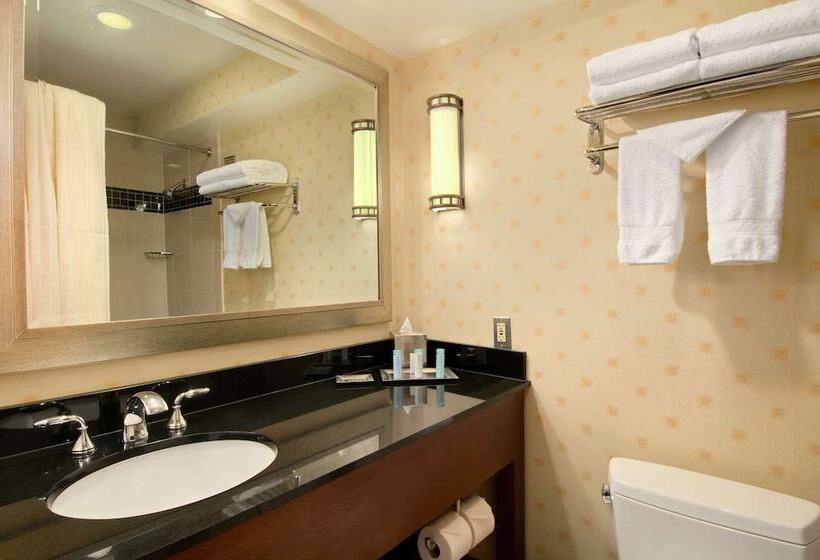 带2个双人床的标准工作室, Hilton Chicago O'Hare Airport