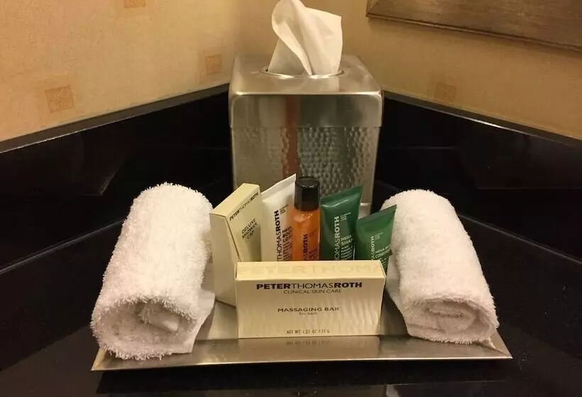 2ダブルベッドのスタンダードルーム, Hilton Chicago O'Hare Airport
