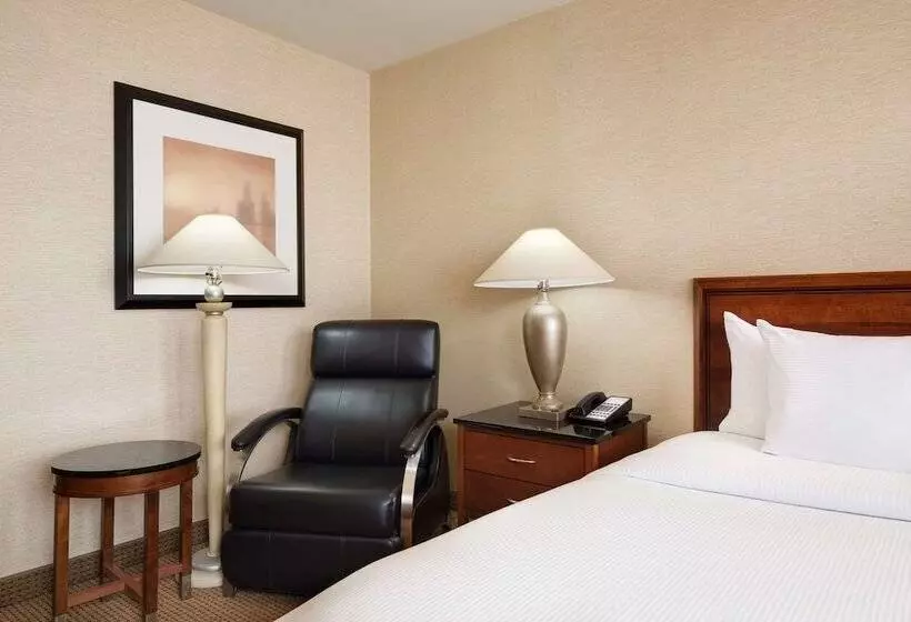 スイート(家族用), Hilton Chicago O'Hare Airport