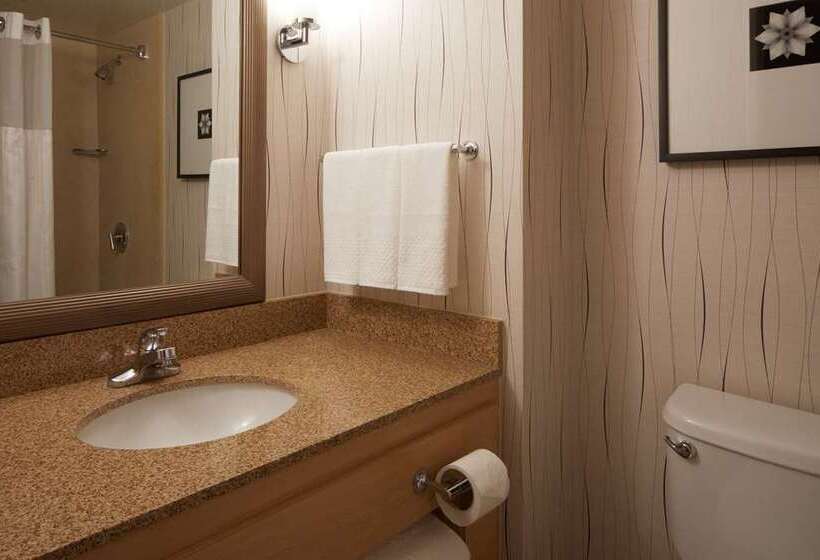 اتاق استاندارد, Hilton Chicago O'Hare Airport