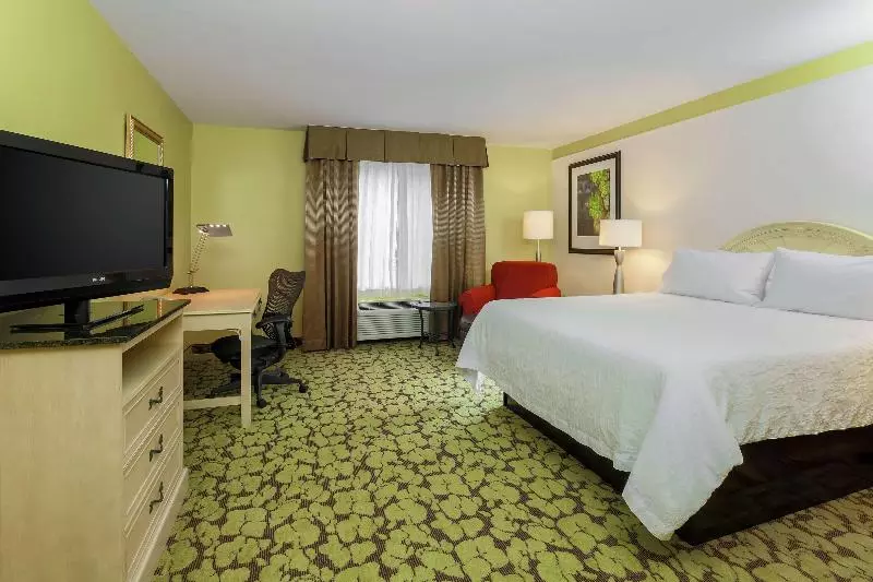 キングサイズベッドのスタンダードルーム, Hilton Garden Inn Tallahassee