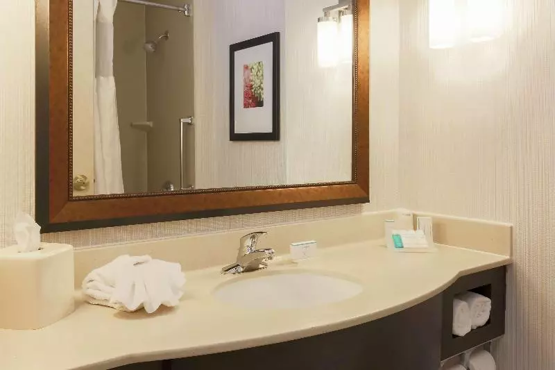 キングサイズベッドのスタンダードルーム, Hilton Garden Inn Tallahassee